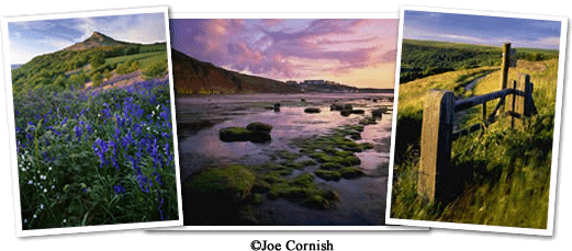 1 day workshops with Joe Cornish & Mark Banks