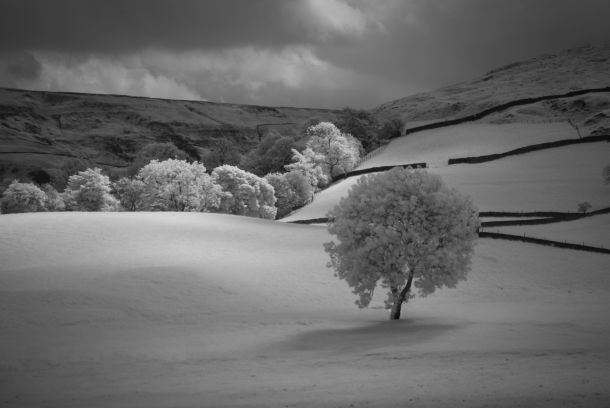 Infrared: Embracing the Surreal